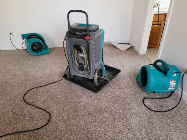 Best Flood damage cleanup  in Lackland Af, TX