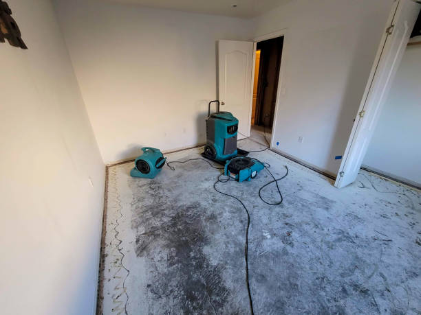 Best Mold removal after water damage  in Lackland Af, TX