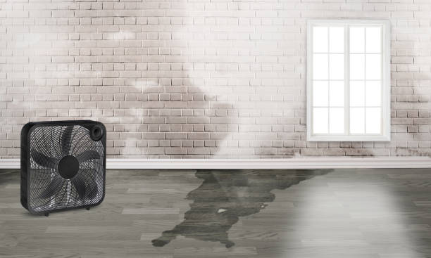 Best Water damage restoration near me  in Lackland Af, TX