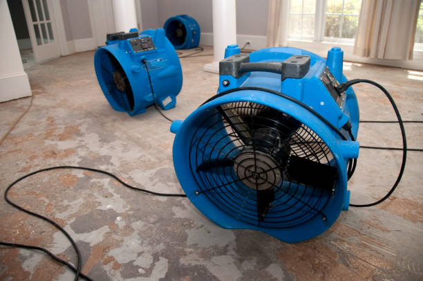 Best Flood restoration services  in Lackland Af, TX