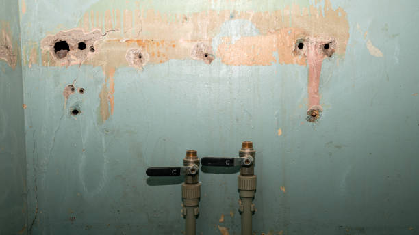 Best Professional water damage repair  in Lackland Af, TX