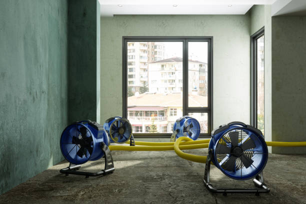 Best Emergency water damage restoration  in Lackland Af, TX